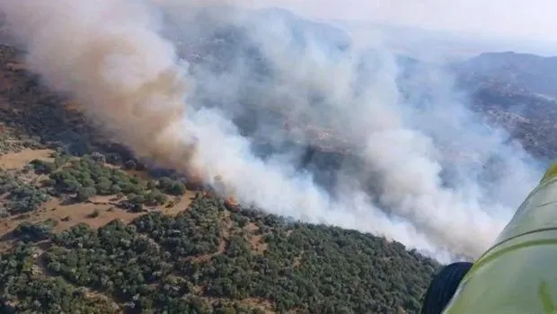 Aydın'da korkutan orman yangını