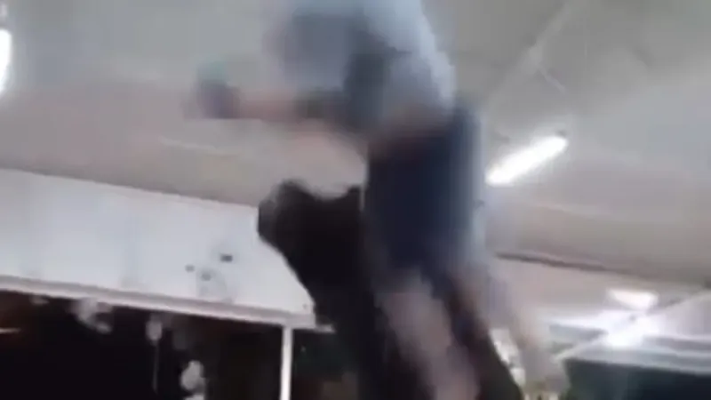 Boğa eğlencesi kabusa döndü! Havaya fırlattı, hastanelik etti