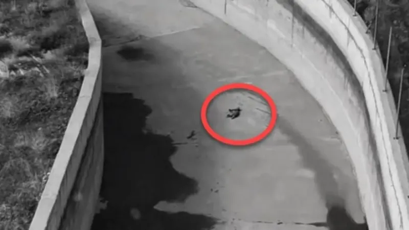 Bu halde bulundu! Son hali hayrete düşürdü