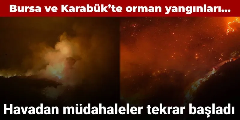 Bursa ve Karabük'teki orman yangınlarıyla mücadele sürüyor: Havadan müdahaleler tekrar başladı