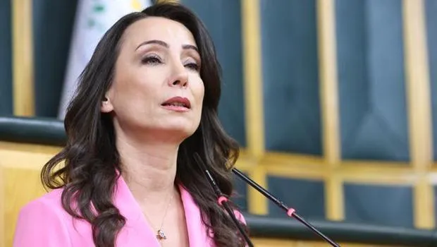 DEM Parti Eş Genel Başkanı Hatimoğulları: Yeni sürecin çözüm adresi Meclis'tir