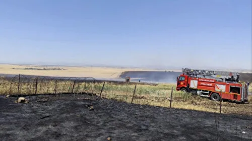 Diyarbakır'da 1000 dekar buğday ve arpa ekili alan kül oldu