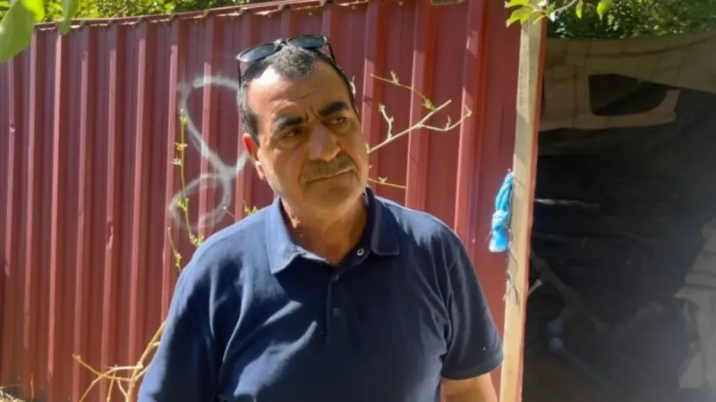 Erzincan'da Köpek Katliamı! 6 Kuzu Can Verdi