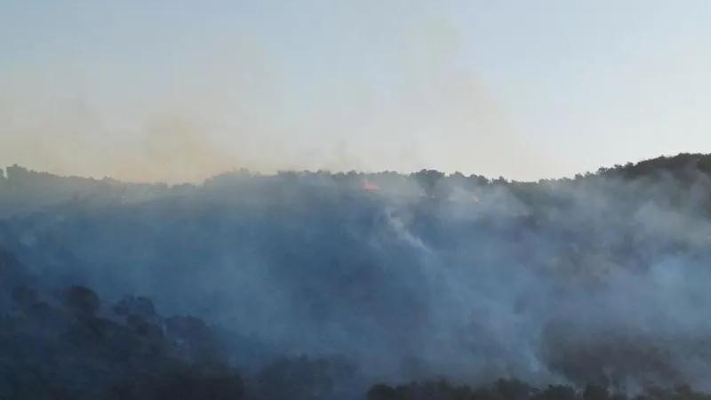 Hatay'da korkutan orman yangını