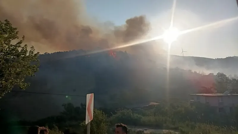 Hatay'da Orman Yangını! Alevler Kontrol Altında mı? Son Durum