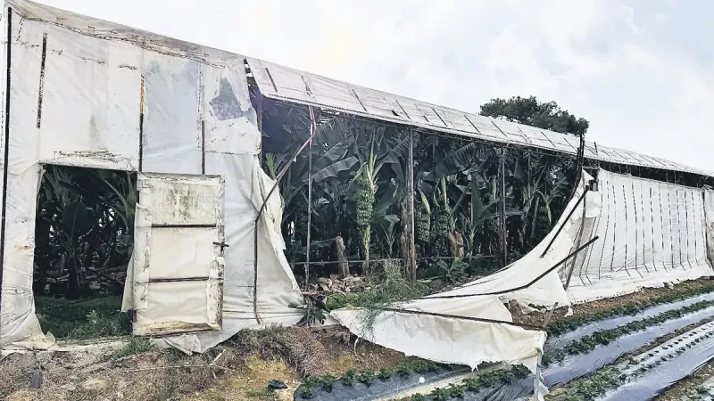 Hortum Felaketi: Seralar Yerle Bir! Mersin ve Antalya Alarmda!