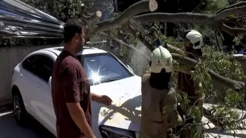 İnşaat alanındaki çürük ağaç park halindeki otomobilin üzerine devrildi