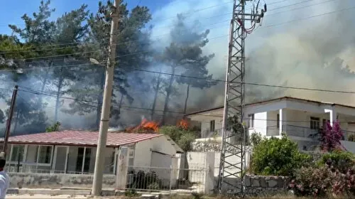 Muğla'da orman yangını: Tüm ekipler seferber oldu