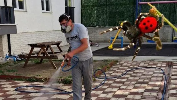 Zehirli Uğur Böceği Alarmı! O İlde Görüldü, Sakın Dokunmayın!