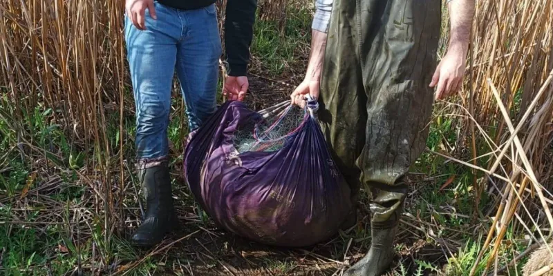 İznik Gölü'nde Şok Baskın! 607 Kilo Kaçak Av Yakalandı!