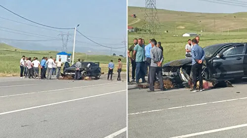Sürüye dalan otomobil onlarca koyunu telef etti